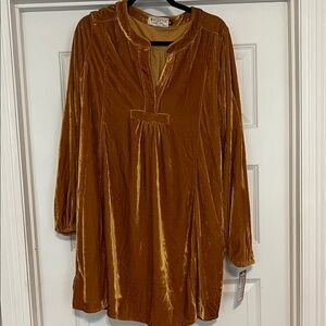 Boutique Velvet Dress in Golden Hue NWT